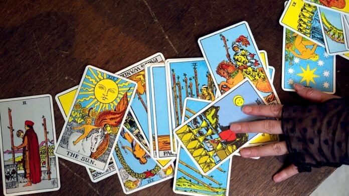 En Corée du Sud, le tarot divinatoire pour animaux de compagnie séduit de plus en plus de propriétaires