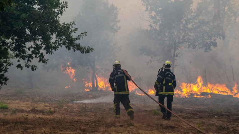 En direct : de nouvelles communes évacuées en Gironde, les incendies progressent vers Bordeaux