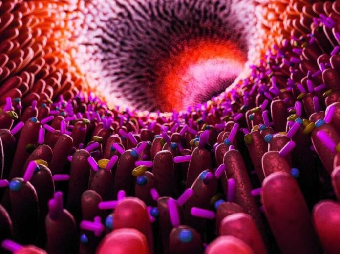 Et si le microbiote guidait nos choix alimentaires Et si le microbiote guidait nos choix alimentaires