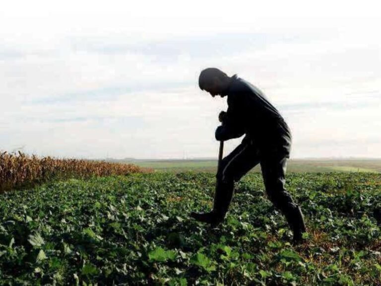 Et si on se passait de pesticides