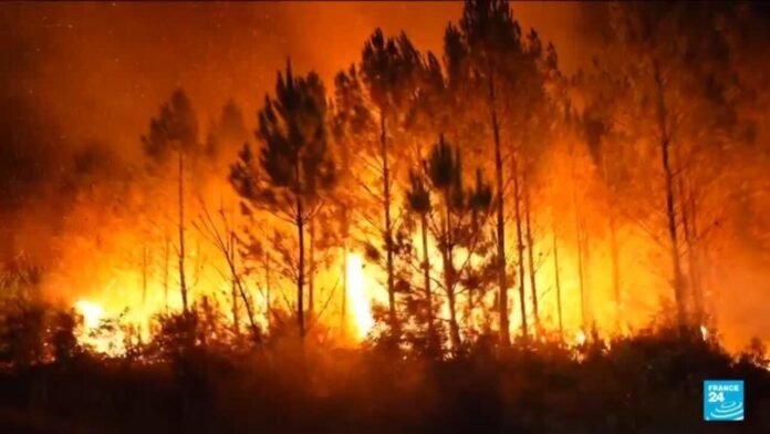 France : aux portes de Bordeaux, l'incendie toujours hors de contrôle