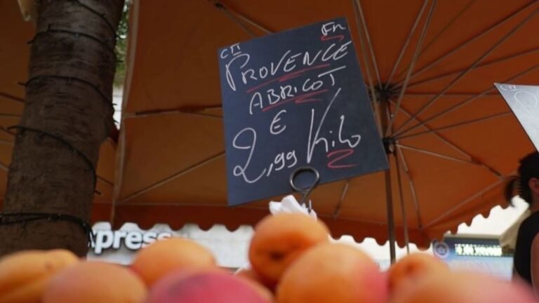 Herbes de Provence, huile d’olive… les produits régionaux sont-ils toujours authentiques ?