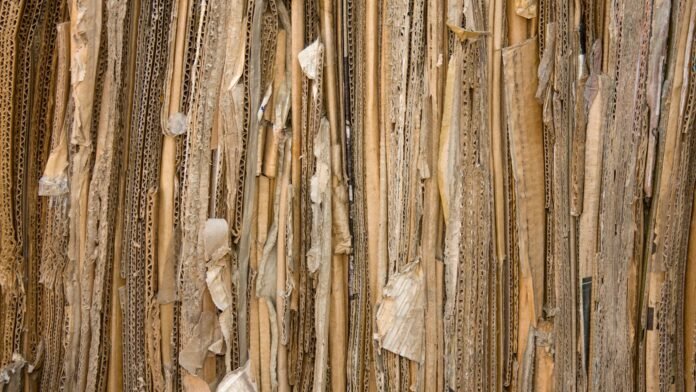 Il est désormais courtisé par le luxe ou l'aéro: en voulant fabriquer sa propre planche de surf, cet ingénieur a inventé un matériau à base de carton pour remplacer le plastique Il est désormais courtisé par le luxe ou l'aéro: en voulant fabriquer sa propre planche de surf, cet ingénieur a inventé un matériau à base de carton pour remplacer le plastique