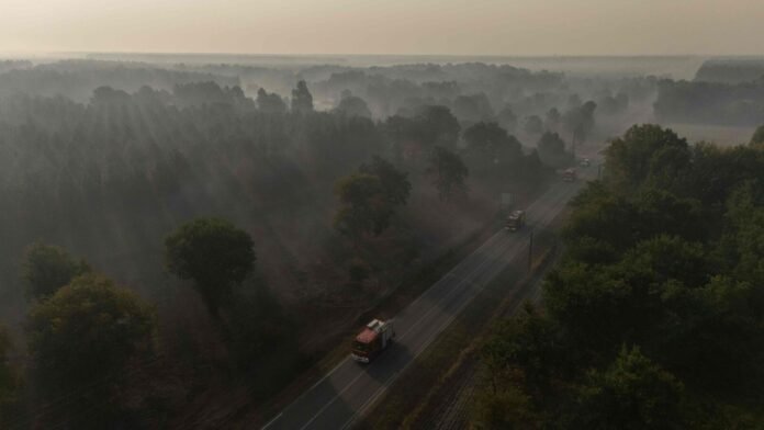 Incendie en Gironde : les investigations sur l’origine du feu continuent, onze personnes déjà déférées Incendie en Gironde : les investigations sur l’origine du feu continuent, onze personnes déjà déférées
