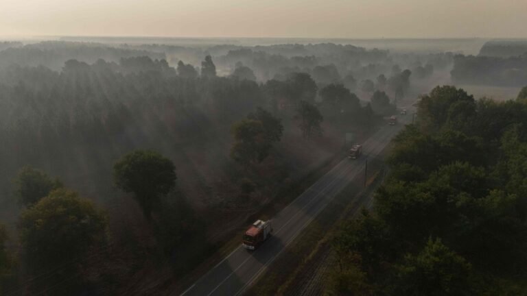 Incendie en Gironde : les investigations sur l’origine du feu continuent, onze personnes déjà déférées