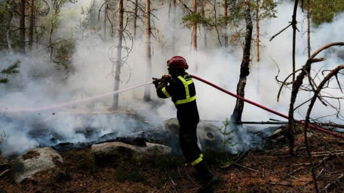 Incendies à Fontainebleau : Emmanuel Macron attendu sur le front des flammes