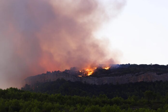 Incendies en France : le ministère de Santé appelle les malades chroniques à consulter leur médecin dans ce cas