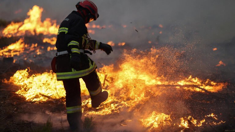 Incendies en France : "c'est une situation complètement hors norme"