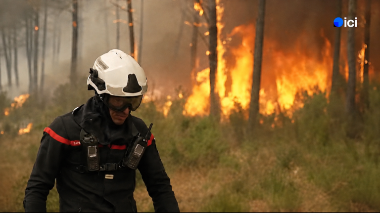 Incendies en Gironde : les mécanismes du désastre