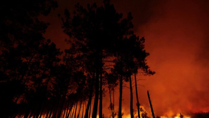 Incendies en Gironde : une cellule de crise économique à Bercy Incendies en Gironde : une cellule de crise économique à Bercy