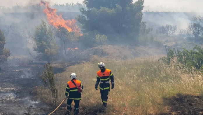 Incendies précoces en France : a-t-on tiré des leçons des étés passés ?