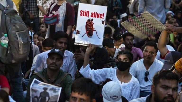 Inde: réprimés, les jeunes manifestants du Parti des cafards rétorquent à coup de mèmes et de vidéos humoristiques
