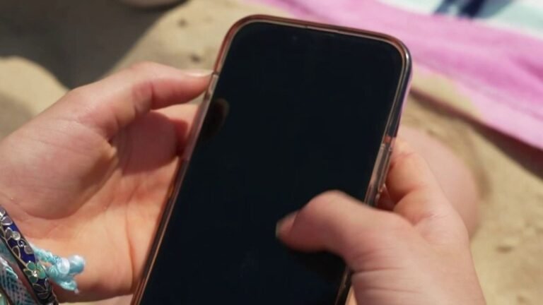 Interdiction des réseaux sociaux aux moins de 15 ans : comment serait appliquée la mesure à partir de septembre prochain si elle était votée