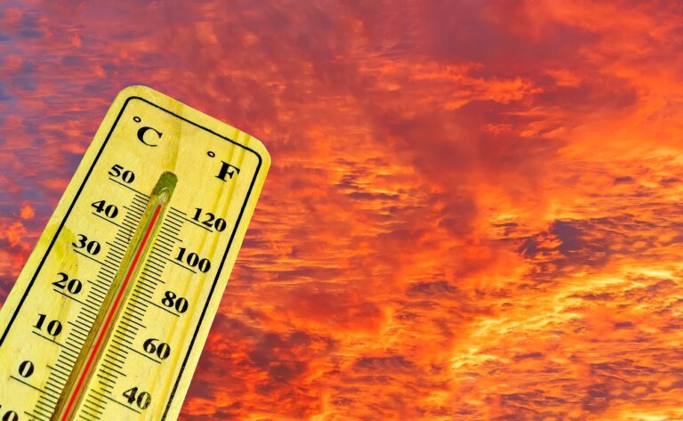 Jusqu'à +80 % de décès pendant la canicule : comment expliquer les chiffres affolants de Santé Publique France ?