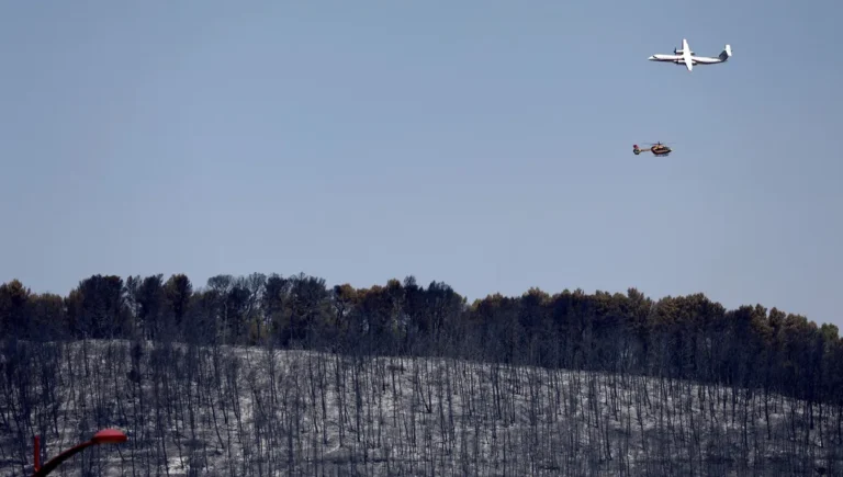 L'année 2026 est déjà la plus importante pour les incendies