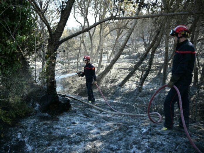 L'incendie des Pyrénées-Orientales n'a pas progressé depuis lundi soir