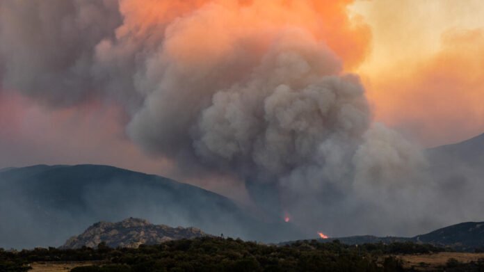 L'incendie des Pyrénées-Orientales toujours pas maîtrisé, les pompiers reprennent les opérations