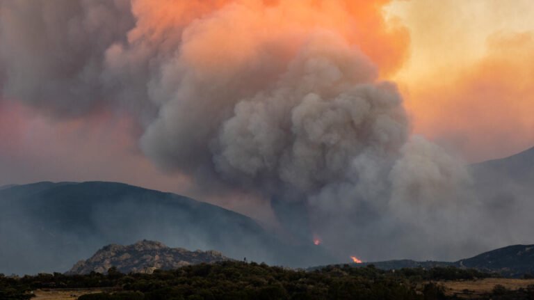 L'incendie des Pyrénées-Orientales toujours pas maîtrisé, les pompiers reprennent les opérations