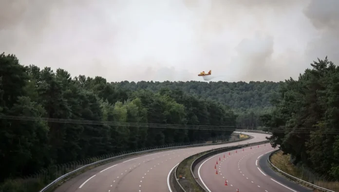 La forêt de Fontainebleau confrontée à un feu extrême comme ailleurs en France