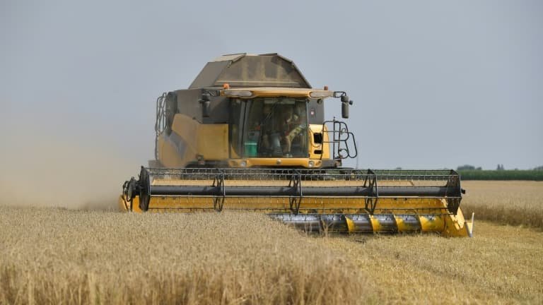 La tonne de blé est au plus haut depuis un an: en plus des canicules et du blocage d'Ormuz, le cours des céréales flambent parce que les Russes n'osent plus traverser le détroit de Kertch