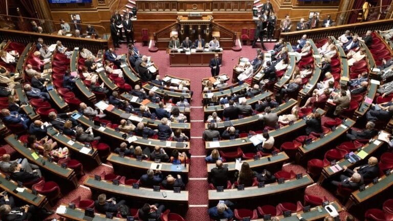 Le Sénat exclut temporairement la centriste Christine Herzog, soupçonnée de harcèlement et de détournement de fonds