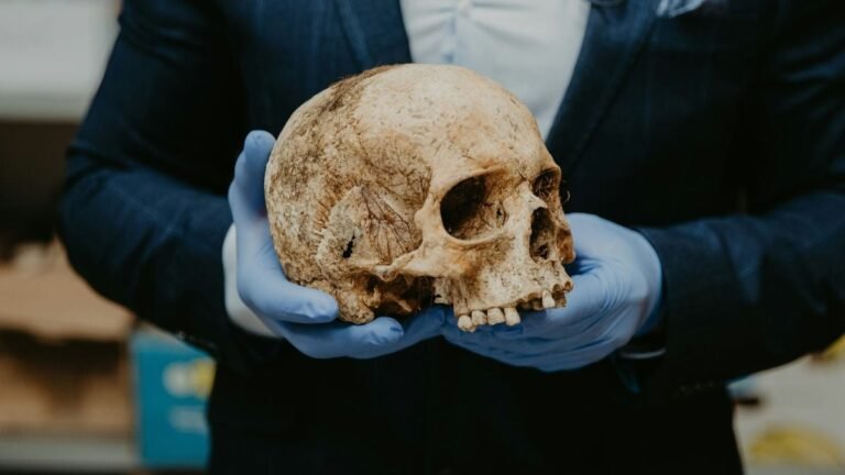 Le crime le plus ancien de l'humanité? Un «cold case» vieux de 100.000 ans refait surface