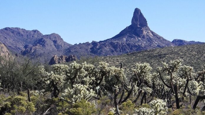 Le mystère de cette mine d'or perdue fascine les États-Unis depuis le XIXe siècle