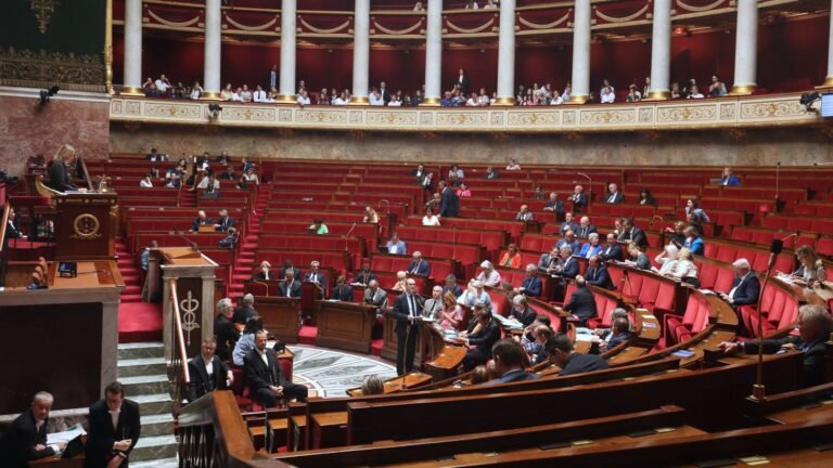 Les Ecologistes ont déposé leur motion de censure contre le gouvernement pour dénoncer la gestion de la canicule