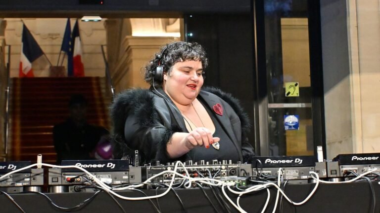 Les critiques fusent à l'encontre de LFI après le concert interrompu de Barbara Butch à Grenoble