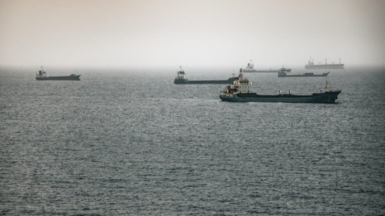 Les marins ont le droit à un salaire doublé à cause du risque pour leur vie: le détroit d'Ormuz de nouveau classé comme zone de guerre par le secteur maritime