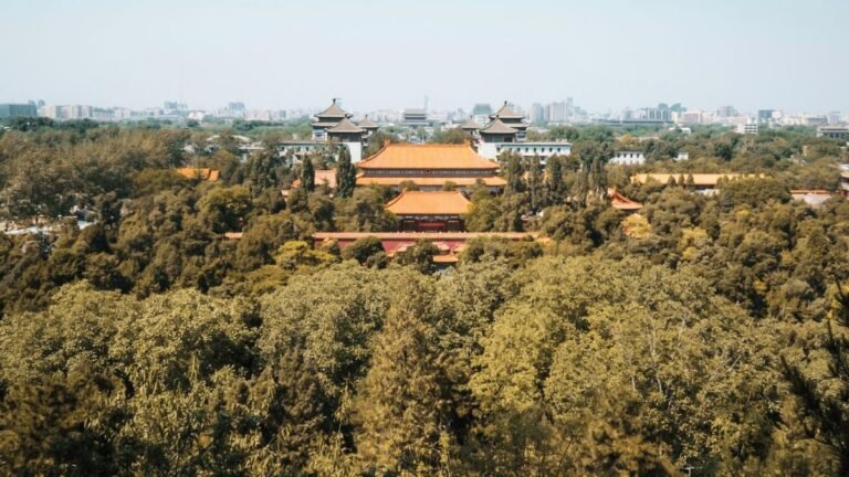 Les milliards d'arbres plantés par la Chine poussent bien plus vite que les forêts naturelles