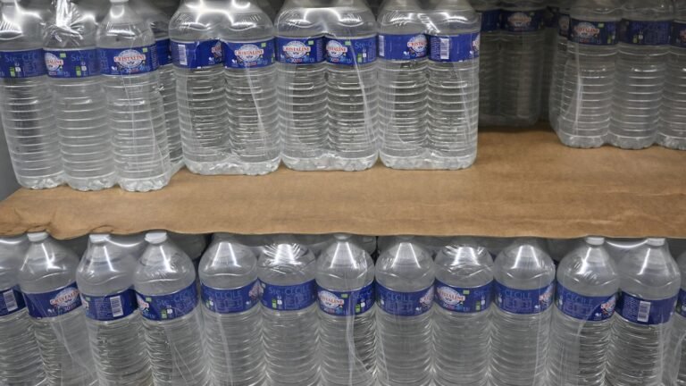 Les packs d'eau seront-ils bientôt interdits à la vente en France et dans l'Union européenne, comme l'affirme une eurodéputée du Rassemblement national ?