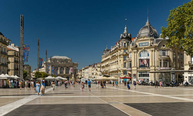 Librairie : “Sans Sauramps, la culture n’est pas morte à Montpellier”