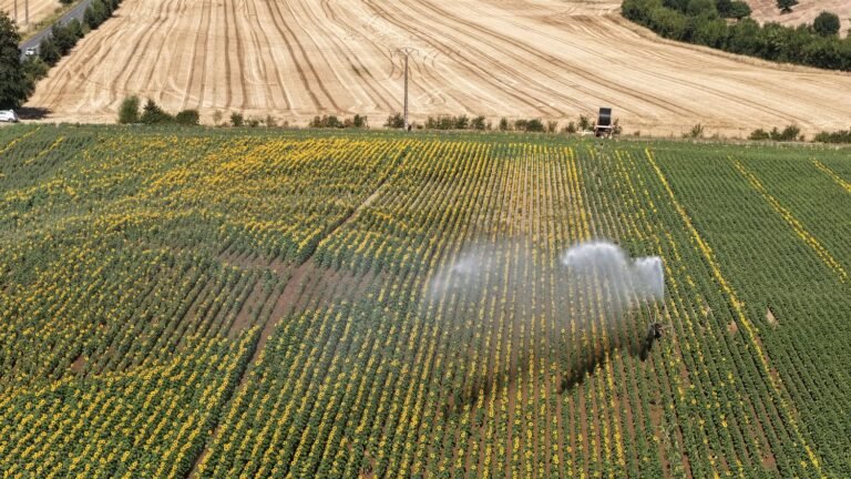 Loi d'urgence agricole : un accord trouvé entre députés et sénateurs en commission mixte paritaire