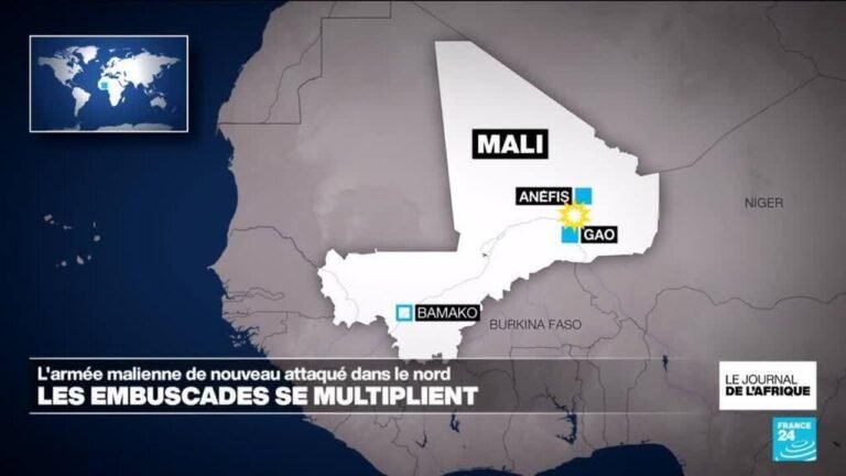 Mali : nouvelle attaque contre l'armée et les mercenaires russes dans le nord