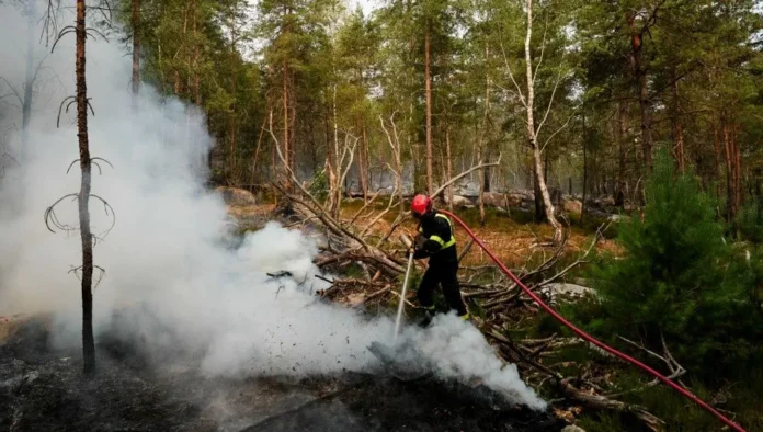 Multiplication des incendies : comment habiter une terre qui brûle ?