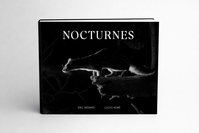 NOCTURNES : une plongée onirique dans le monde des animaux nocturnes