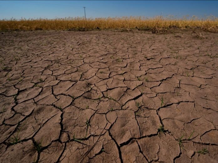 ONU : El Niño attendu une à forte intensité