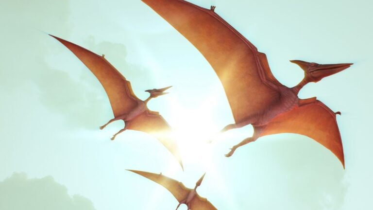 On a retrouvé des molécules sur les ailes d'un ptérosaure qui nous disent ce qu'il mangeait au petit déj