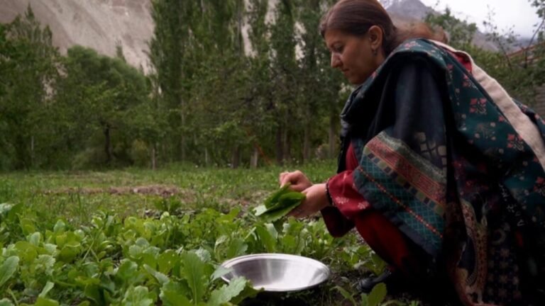 Pakistan : la vallée du Hunza, joyau touristique, menacée par le réchauffement climatique