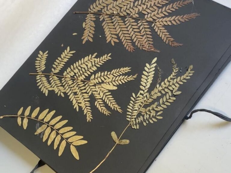 Plongée au coeur de l'herbier de Montpellier