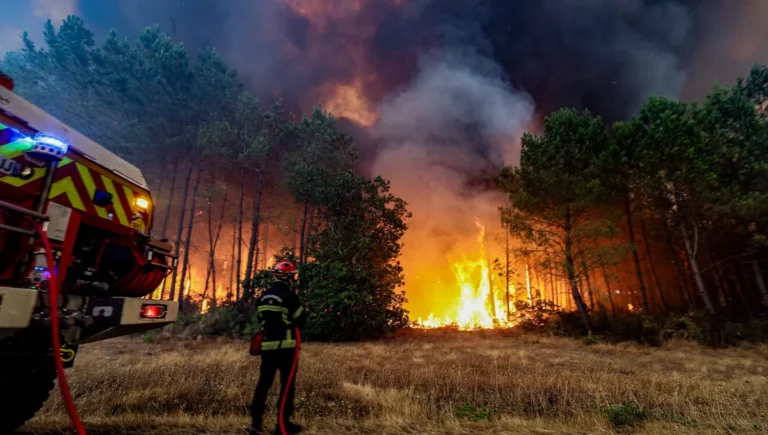 Plus de 140.000 évacuations et 22.000 hectares brûlés par les incendies en Nouvelle-Aquitaine