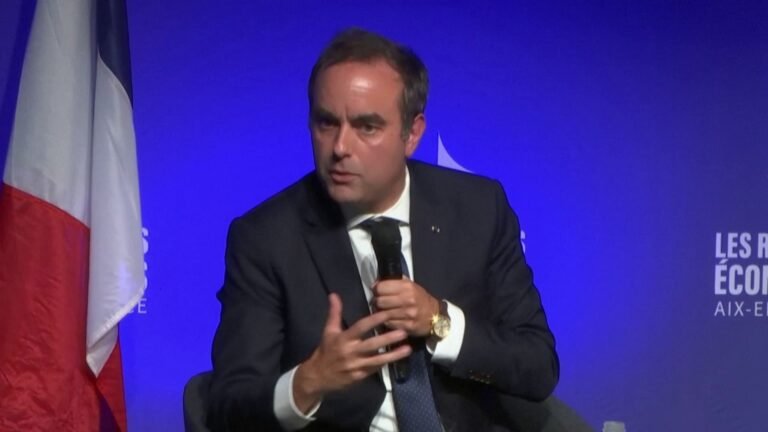 Pour Sébastien Lecornu, les États-Unis "ont une pratique du droit de douane un tout petit peu originale"