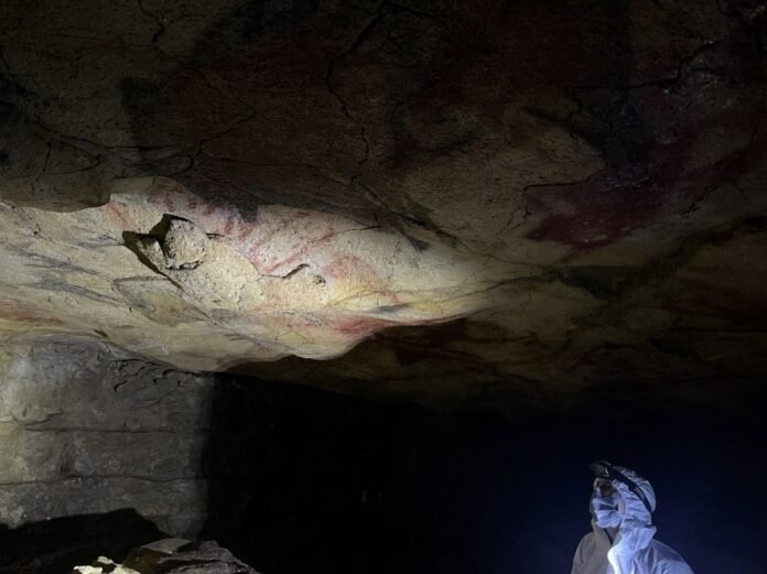 Première découverte d’ADN humain sur les parois de grottes ornées Première découverte d’ADN humain sur les parois de grottes ornées