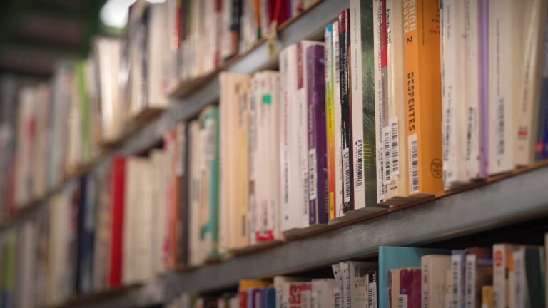 Reprise de livres d'occasion : Recyclivre branche les librairies indépendantes à son outil