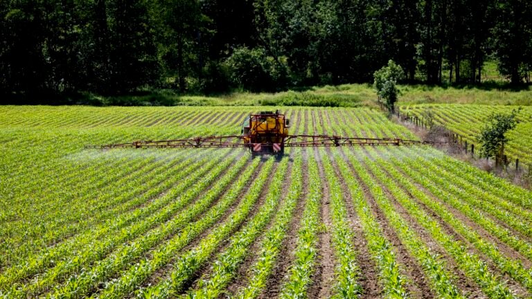 Stockage de l'eau, réintroduction de pesticides, protection des loups… Voici ce que contient le projet de loi d'urgence agricole adopté à l'Assemblée nationale
