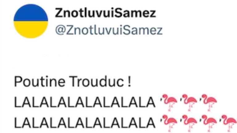 Un mystérieux parieur mise 400.000 dollars sur la chute de Vladimir Poutine d'ici à fin 2026 et le traite de «trouduc»