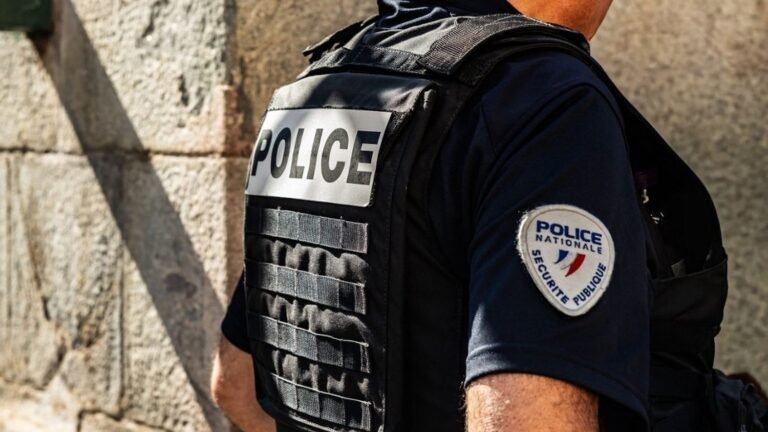 Une pétition contre la présomption d'usage légitime des armes par les forces de l'ordre dépasse les 500 000 signatures