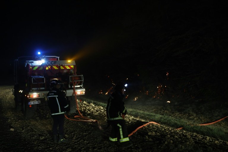Incendie en forêt de Fontainebleau, à Noisy-sur-Ecole, le 13 juillet 2026 (AFP - GEOFFROY VAN DER HASSELT)