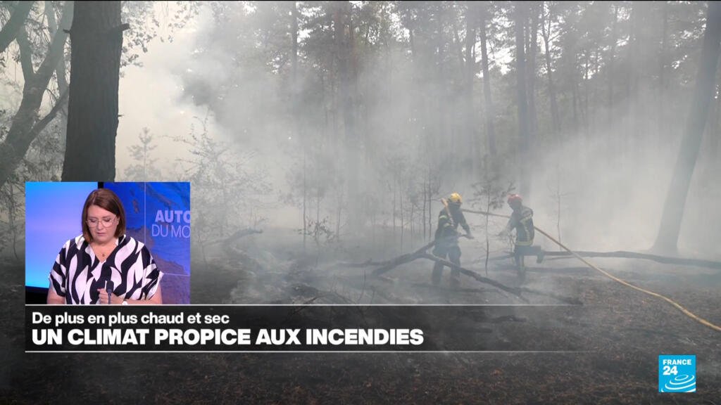 feux de forêt